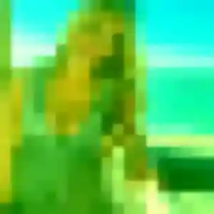 Photo de Zhi à Château-Gontier-sur-Mayenne (42 ans) - rencontre japonaise discret