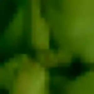 Profil de Lea à Châteaurenard (43 ans) - rencontre japonaise gratuit