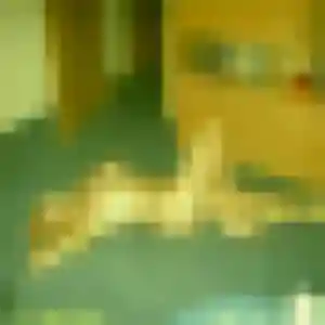 Profil de Di à Châtellerault (28 ans) - rencontre japonaise sans inscription