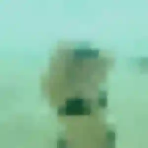 Rencontre Araya, 37 ans à Chevilly-Larue gratuitement