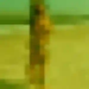 Belle Malai, 36 ans à Chilly-Mazarin - voir sa photo