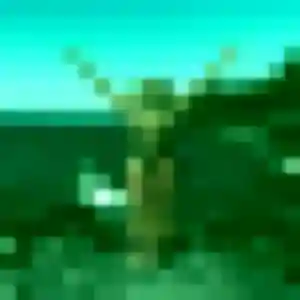 Etsuko, 42 ans, cherche un rencontre japonaise à Clichy-sous-Bois