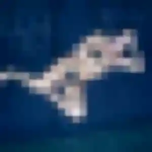 Ge, femme de 34 ans cherche rencontre japonaise à Clichy