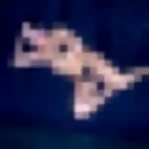 Belle Da-Yeon, 23 ans à Cogolin - voir sa photo