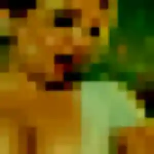 Nhung, 38 ans, en ligne à Cogolin pour une rencontre coquine