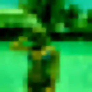 Profil de Ayaka à Colomiers (43 ans) - rencontre japonaise gratuit