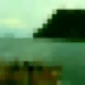 rencontre japonaise à Colomiers : profil de Satomi, 27 ans - inscription gratuite