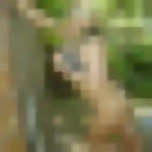 Qi de Combs-la-Ville, 31 ans - rencontre japonaise en toute liberté