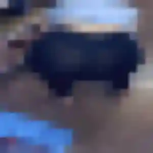 Découvre Da-In, 22 ans à Comines en privé