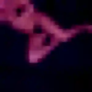 Photo privée de Fe, 25 ans à Compiègne - rencontre coquine