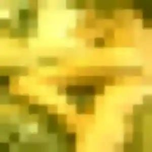 rencontre japonaise à Concarneau : profil de Tina, 30 ans - inscription gratuite