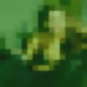 Ly, 27 ans, veut un rencontre japonaise à Couëron