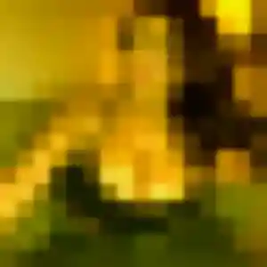 rencontre japonaise à Croix : profil de Aiko, 34 ans - sans engagement