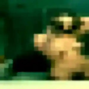 Vy, 27 ans, cherche un rencontre japonaise à Croix