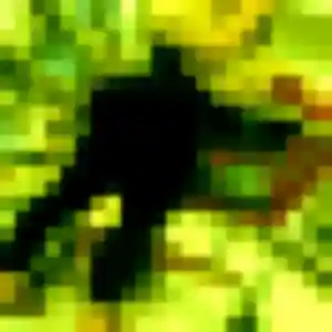 Contacte Pearl, 27 ans à Dammartin-en-Goële en t'inscrivant