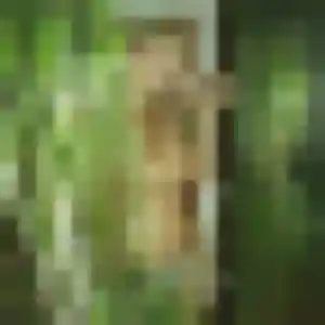 Suong, 38 ans, connectée à Dembeni pour un rencontre japonaise