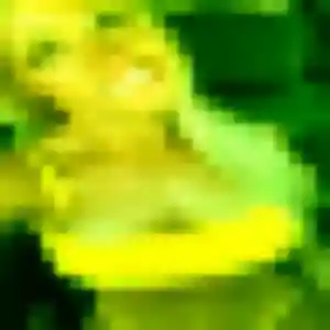 Photo perso de Ou, 38 ans à Déville-lès-Rouen - rencontre coquine