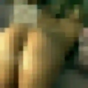 rencontre japonaise à Divonne-les-Bains : photo de Linh, 34 ans - sans engagement