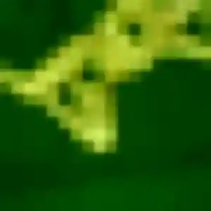 Fumi, fille de 41 ans veut rencontre japonaise à Douai