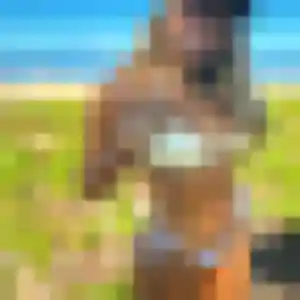 rencontre japonaise à Douai : profil de Pich, 34 ans - inscription gratuite