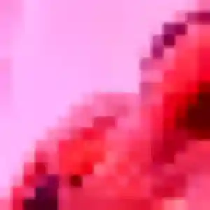 Photo de Sakura à Dugny (42 ans) - rencontre japonaise sans inscription