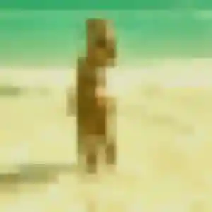 Rejoins Zenaida, 35 ans à Dunkerque en t'inscrivant