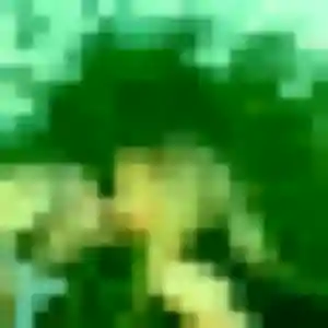 Jira, fille de 33 ans propose rencontre japonaise à Eaubonne