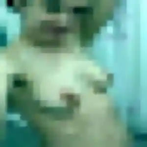 Mari (35 ans) à Écully propose une rencontre aujourd'hui