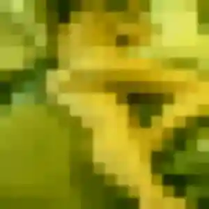 Kwan (38 ans) à Élancourt cherche un rencontre japonaise maintenant