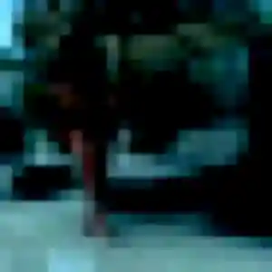 Qing, 25 ans, cherche un rencontre japonaise à Elbeuf