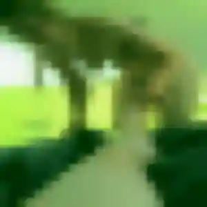 Giang, 28 ans, disponible à Faches-Thumesnil pour une rencontre coquine