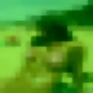 Profil de Dao à Fleury-les-Aubrais (35 ans) - rencontre japonaise discret