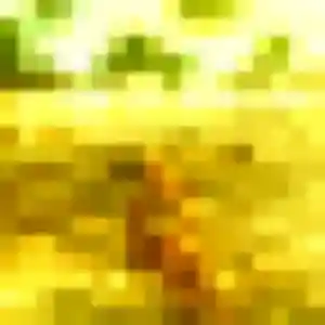 Photo privée de Hoa, 31 ans à Fleury-Mérogis - plan discret