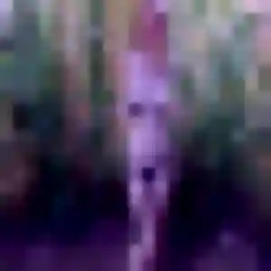 Découvre Narisa, 28 ans à Floirac en privé