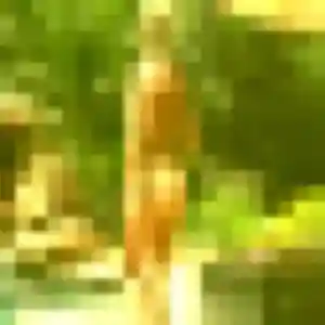 Dina, 24 ans, cherche un rencontre japonaise à Florange