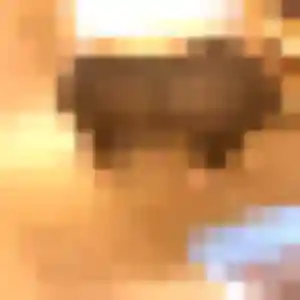 Klarisa de Fonsorbes, 27 ans - rencontre japonaise sans lendemain