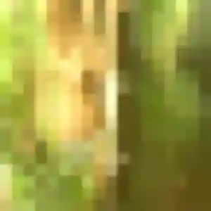 Jolie Tina, 32 ans à Fontenay-le-Comte - la contacter