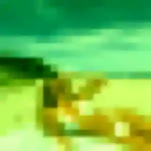 rencontre japonaise à Fontenay-le-Comte : photo de Trinh, 42 ans - inscription gratuite