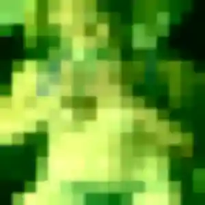 Nozomi, 31 ans, cherche un rencontre japonaise à Fontenay-sous-Bois