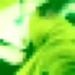 Tawan, femme de 44 ans cherche rencontre japonaise à Fos-sur-Mer