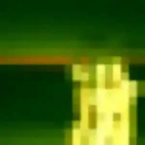 Sexy Dung, 35 ans à Fouesnant - voir sa photo