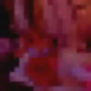 Tuyet, fille de 31 ans veut rencontre japonaise à Fouesnant