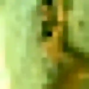 Rosalinda, 29 ans, connectée à Fougères pour une rencontre coquine