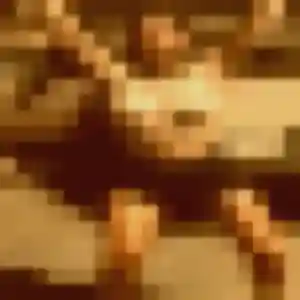 rencontre japonaise à Frontignan : profil de Mi-Young, 32 ans - inscription gratuite