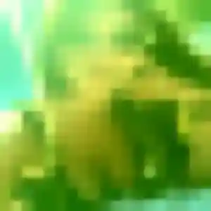 Photo de Channary à Gaillac (28 ans) - rencontre japonaise discret