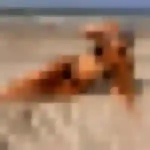 Rencontre Ji-Yeon, 23 ans à Garches en privé