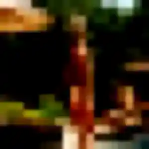 rencontre japonaise à Genas : photo de Angelica, 26 ans - sans engagement