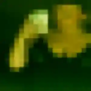 Sokha, fille de 22 ans cherche rencontre japonaise à Gentilly