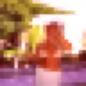 Lan de Gerzat, 43 ans - rencontre japonaise sans prise de tête