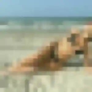 Profil de Hua à Gif-sur-Yvette (34 ans) - rencontre japonaise gratuit